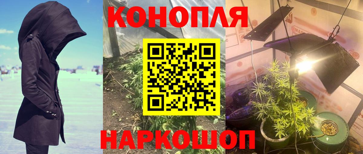 Конопля AK-47 Менделеевск